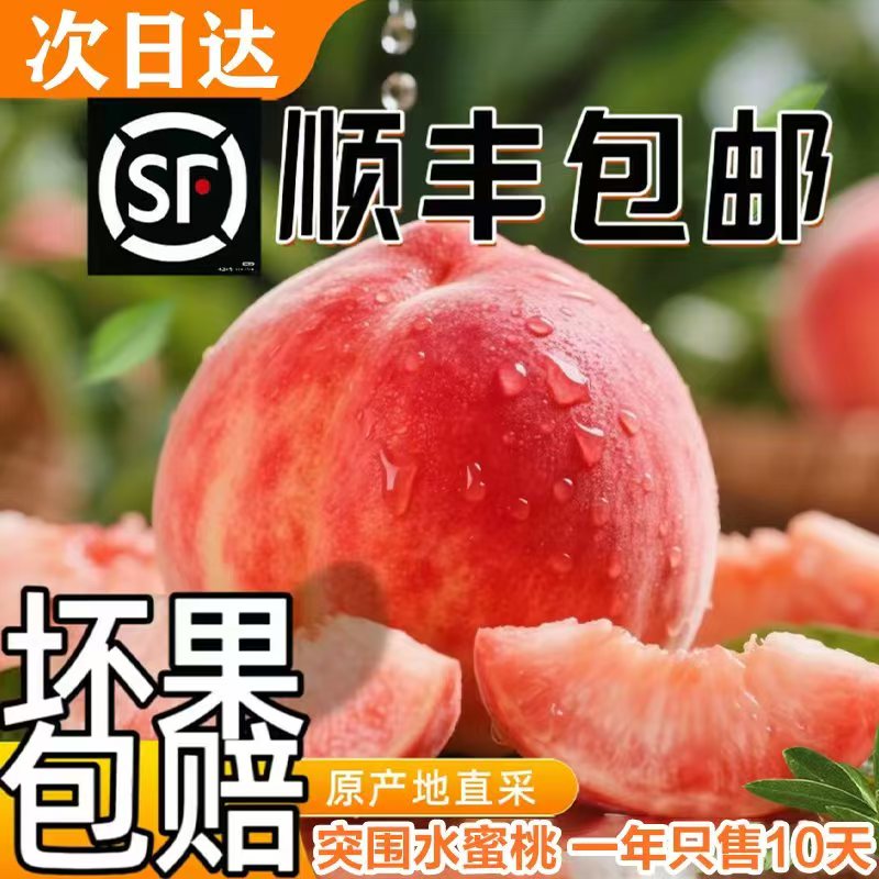 【顺丰-次日达]】现摘现发正宗超甜突围水蜜桃毛桃新鲜采摘坏果包赔当季新鲜水果桃子桃子同城送安徽省