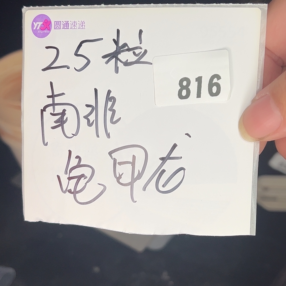 多肉植物专拍植物不退换 一物一拍 816