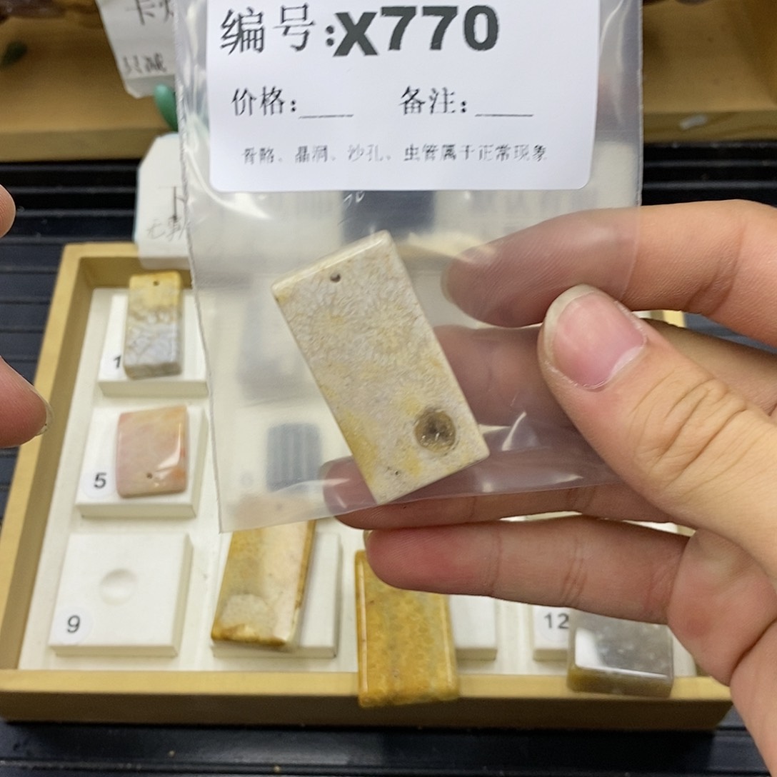 硅化珊瑚（珊瑚玉）未镶嵌颈饰焯*