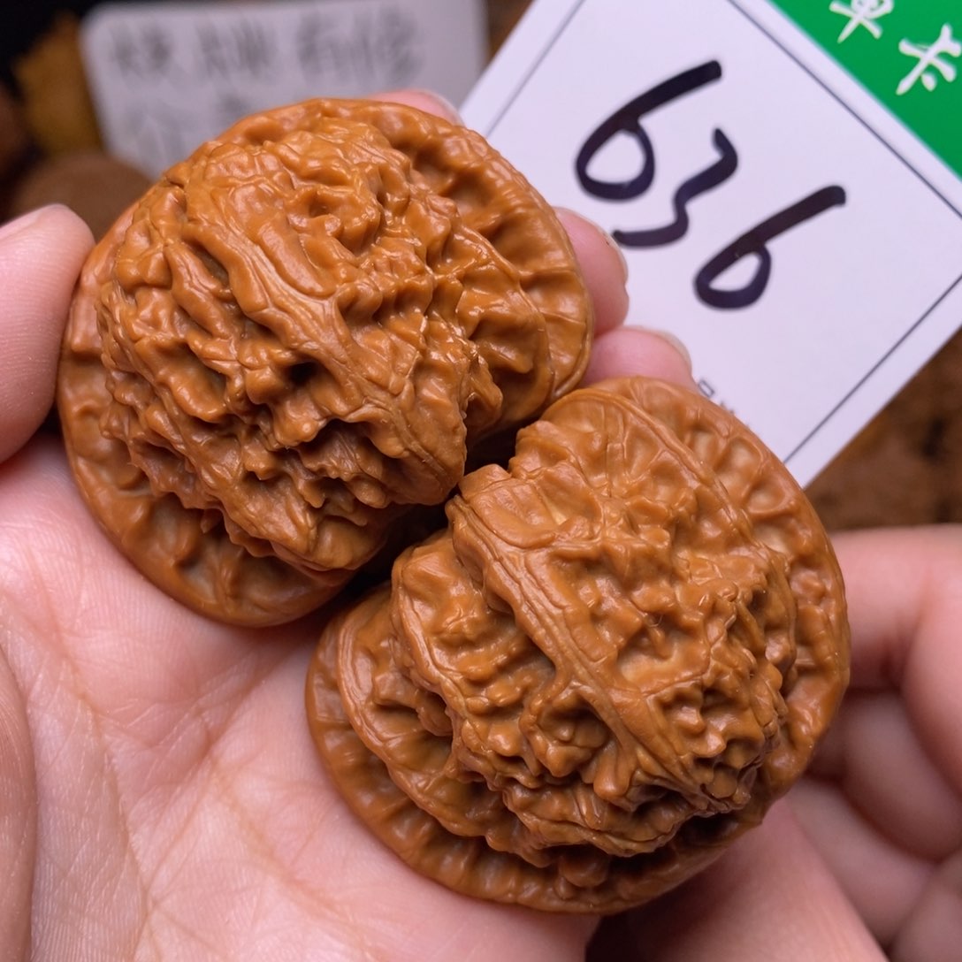 把件文玩核桃636闷尖白狮子头4.6