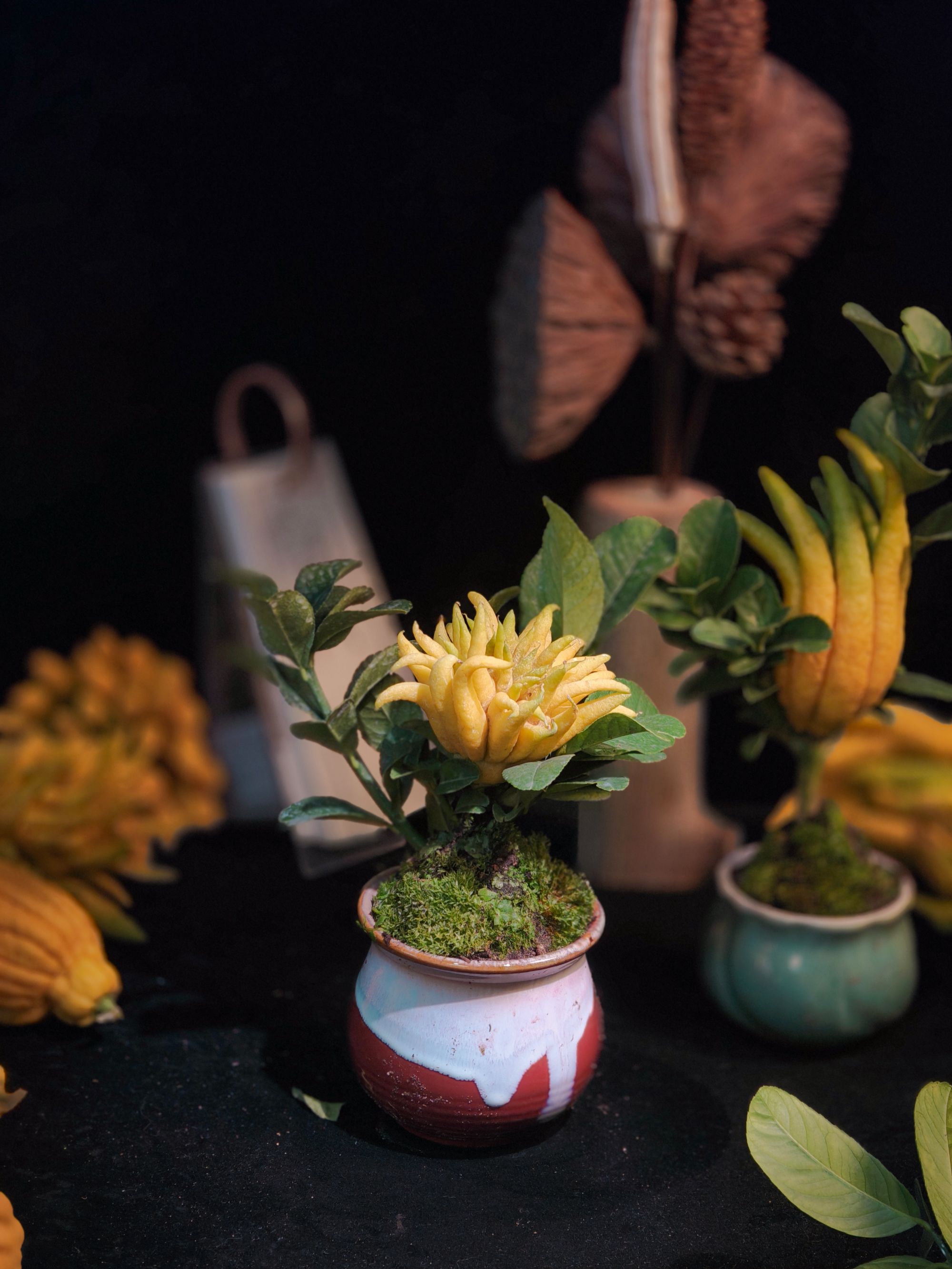 【掌中宝】金华佛手摆件清供生活美学天然香薰基地现剪直发