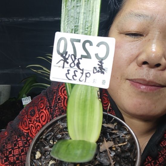 表***包完全开放0270027000