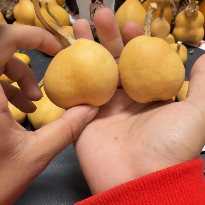 嘿***。888…………………………………………