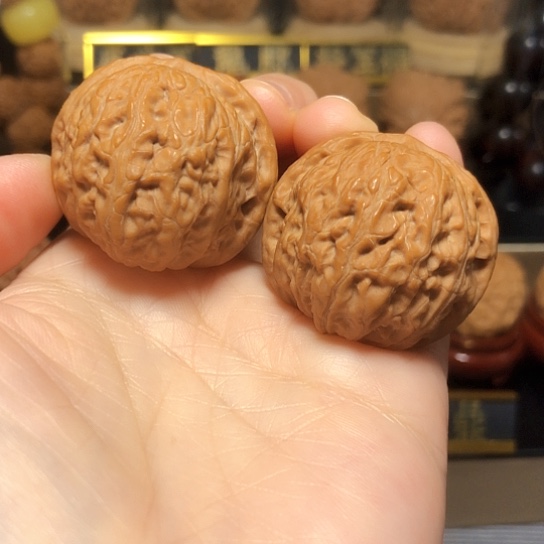 精品野生乾隆磨全品