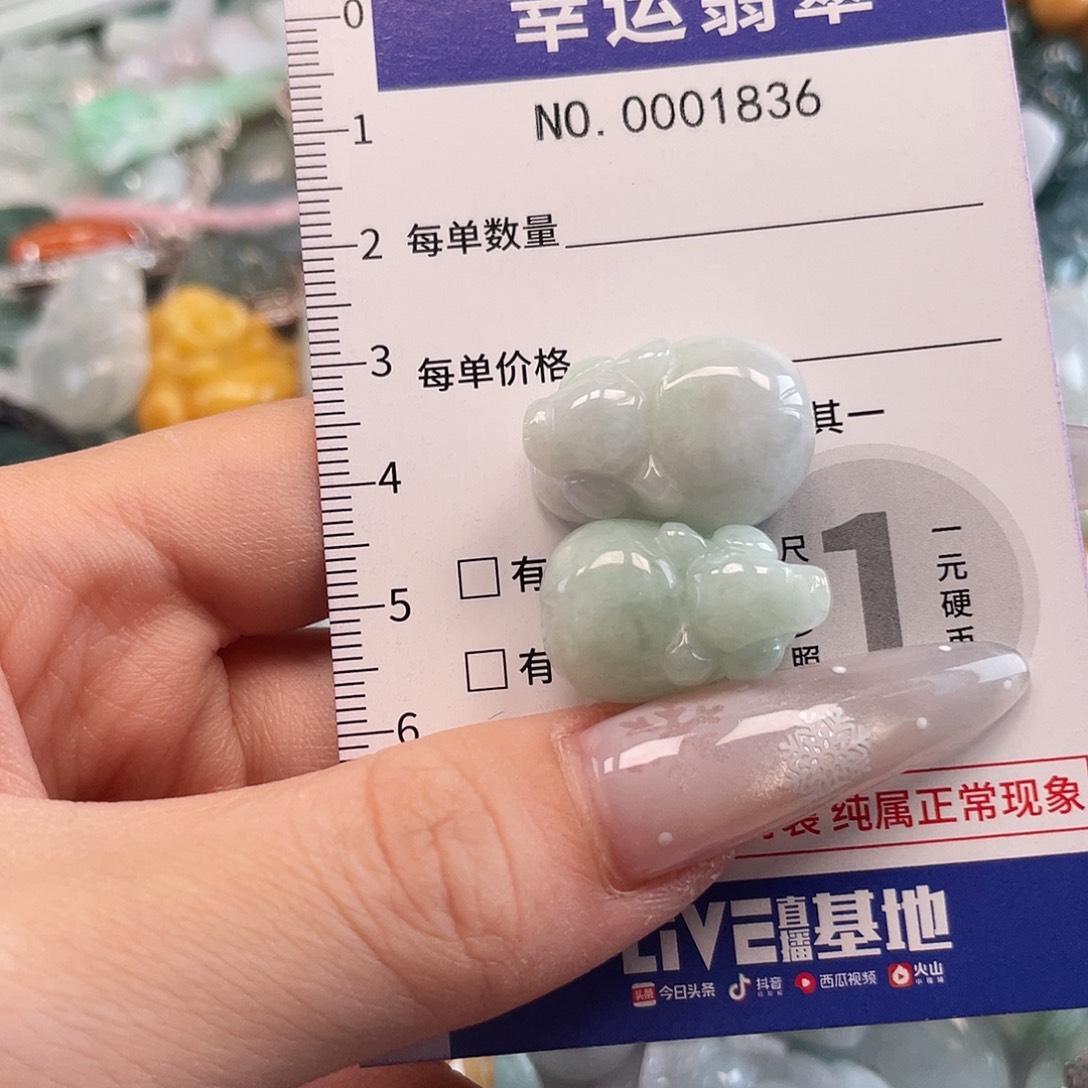 翡翠未镶嵌颈饰hhh