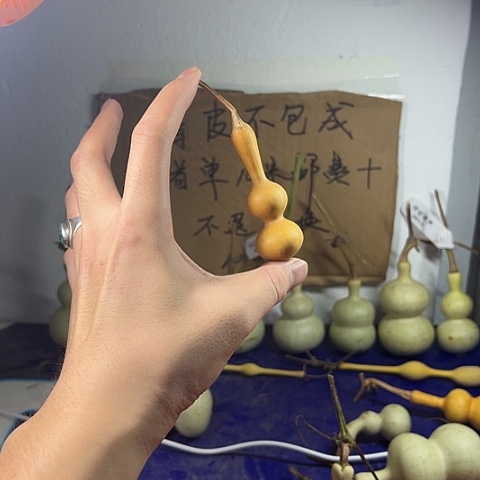 @***醉哈哈哈哈哈哈哈哈哈哈哈