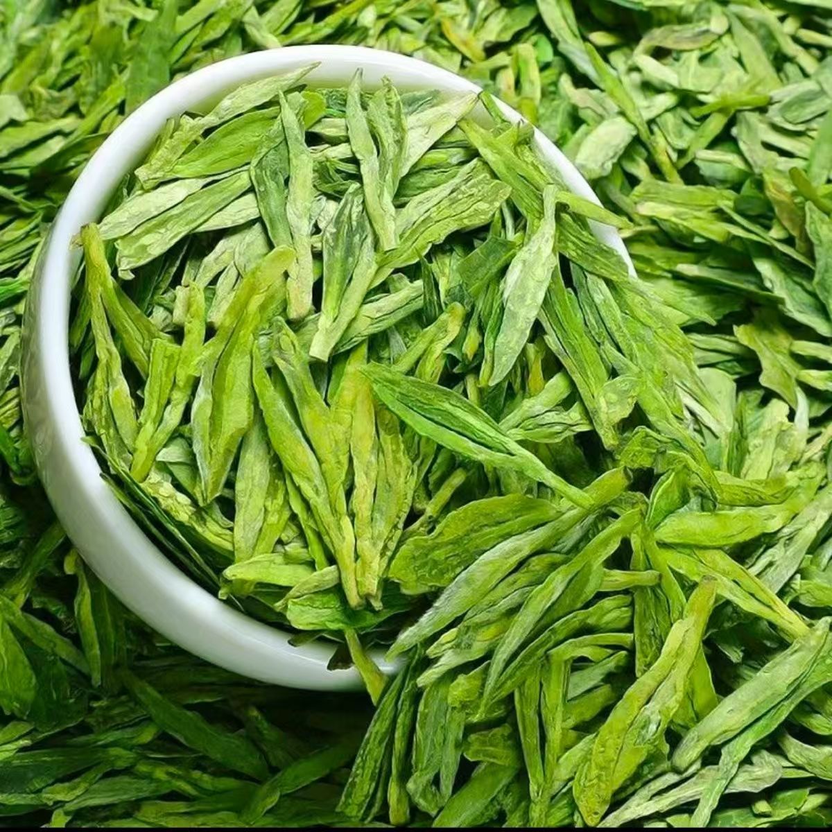 新茶龙井茶茶叶绿茶茶叶250g手工袋