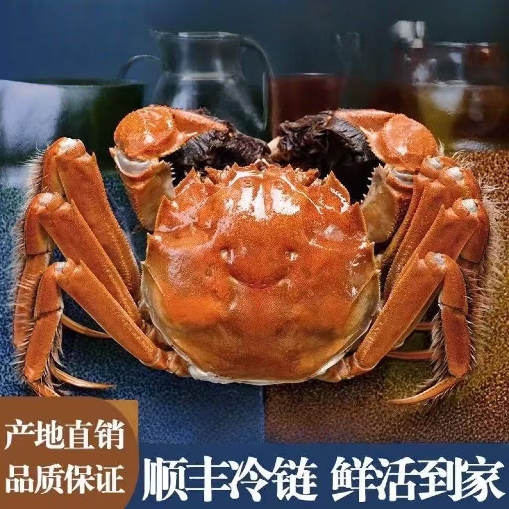 【活蟹】江苏精品河蟹母蟹2.0-2.3两蟹10只装顺丰包邮