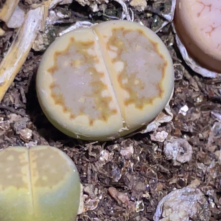 4888888888888888888888