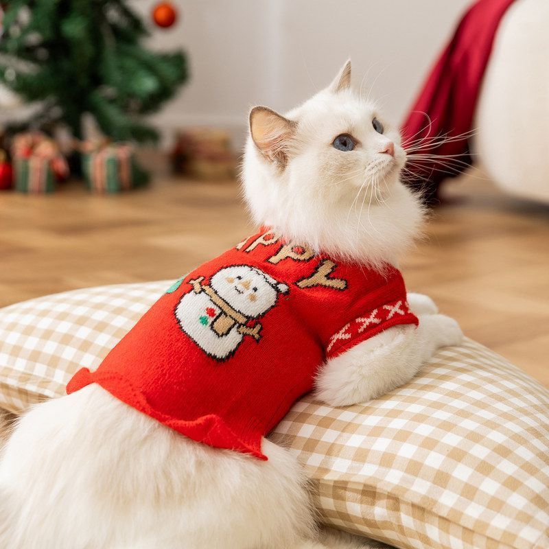 红色春节喜庆猫咪衣服两脚快乐小狗新年毛衣针织保暖财神宠物衣