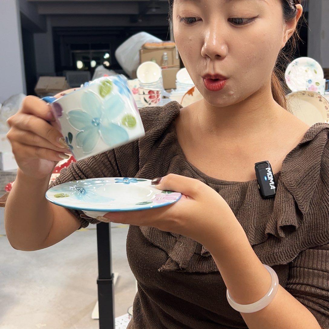 潮州微瑕陶瓷餐具