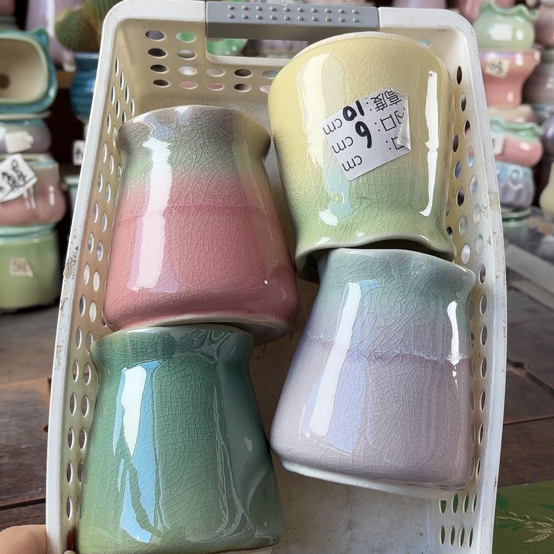 量货/6口高10深浅搭配发4