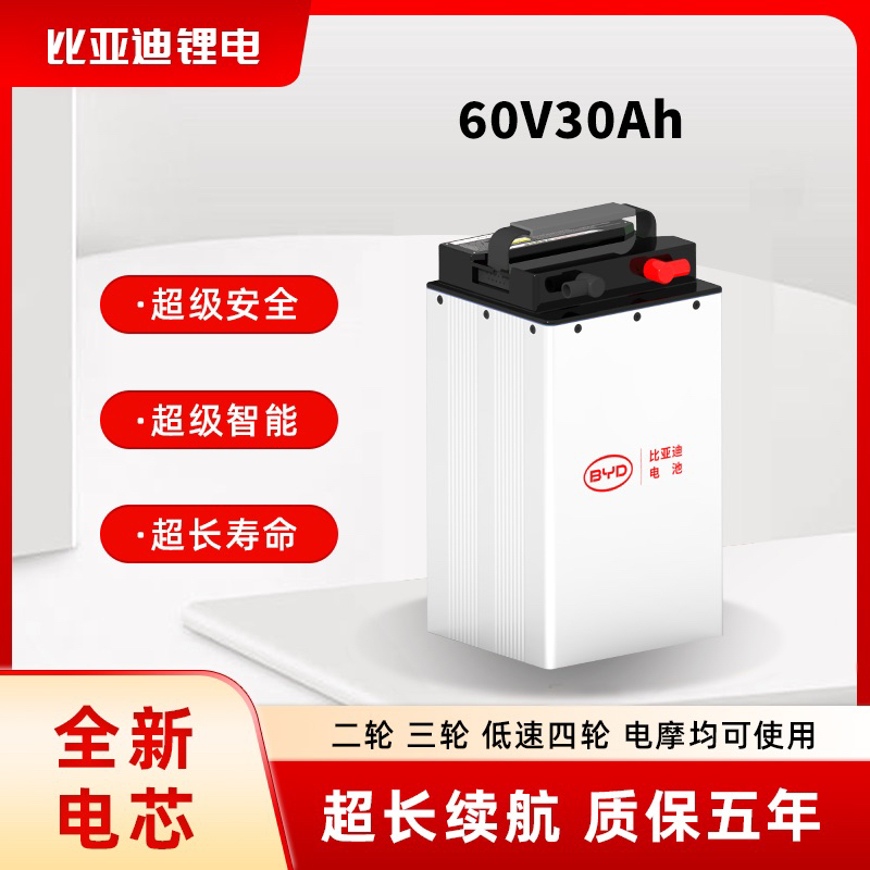 60V30Ah磷酸铁锂电池含充电器适配电动二轮三轮车全新