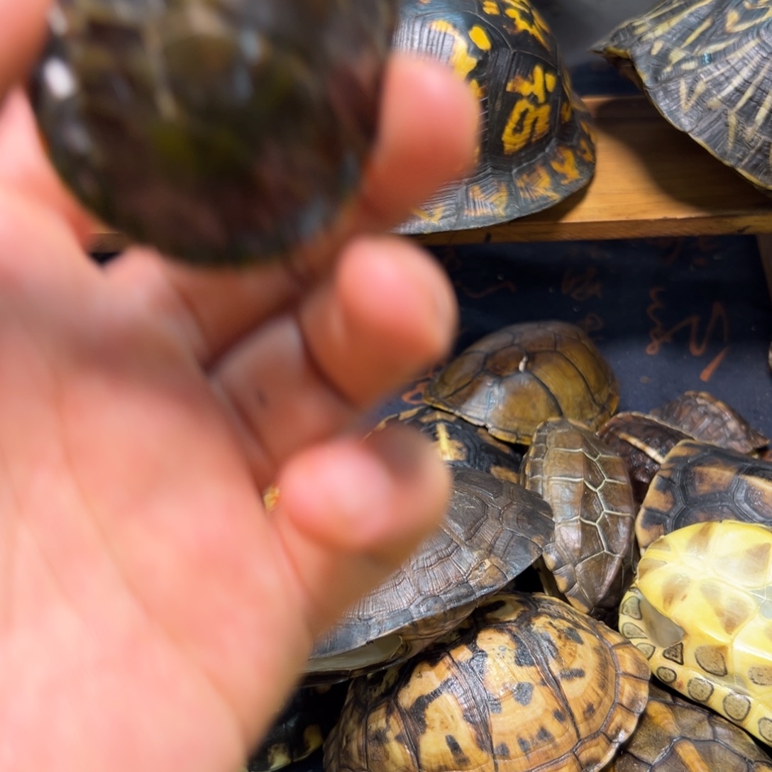 火***焱呀呀呀呀呀呀呀呀呀呀呀