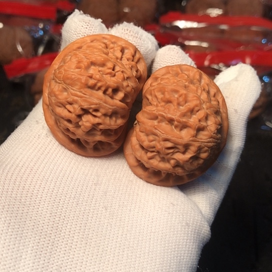 三***猫文玩核桃把件宫灯42