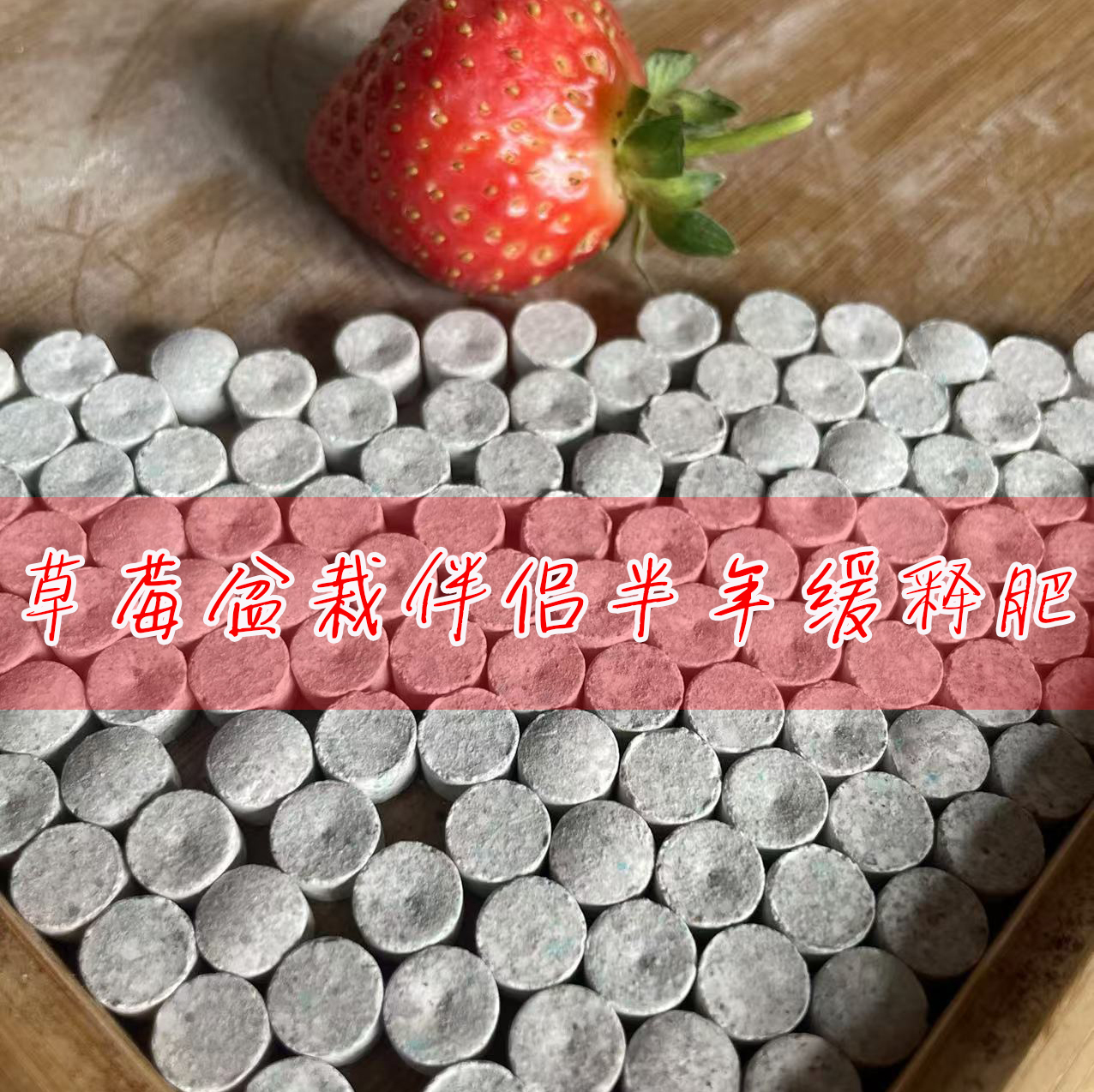 【草莓盆栽-伴侣-缓释肥】 氮磷钾种植养大草莓盆栽 缓苗催花结果多