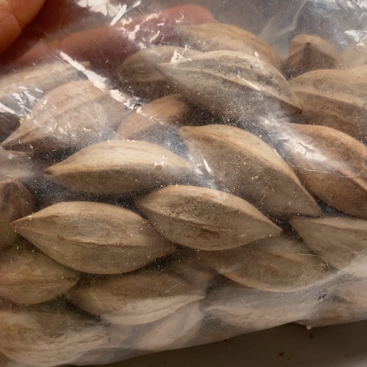 橄榄核手串/手链橄榄核雕