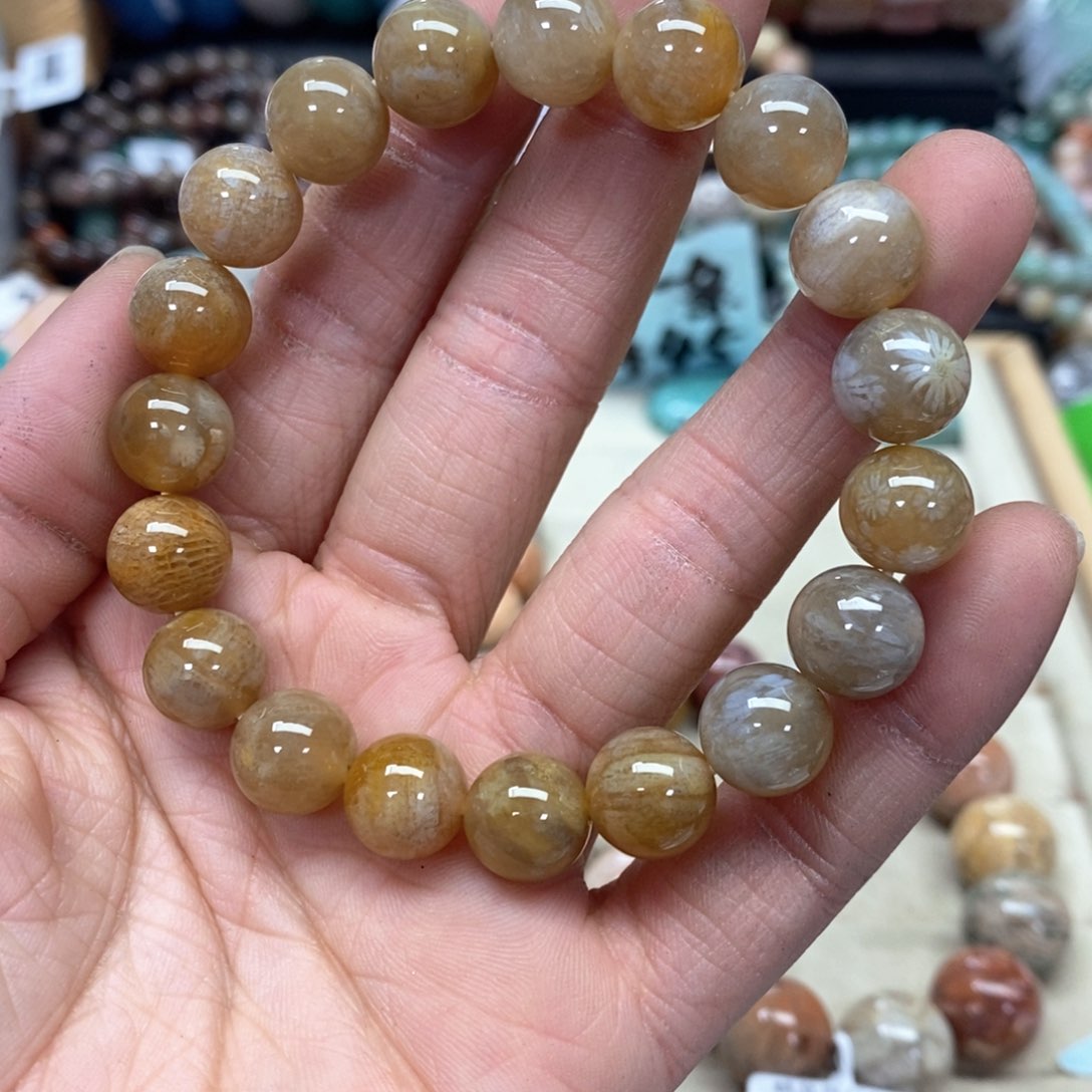 硅化珊瑚（珊瑚玉）手链未镶嵌?**?211