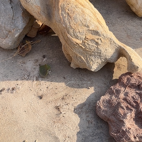 无花朵林*鸟家居装修效果图