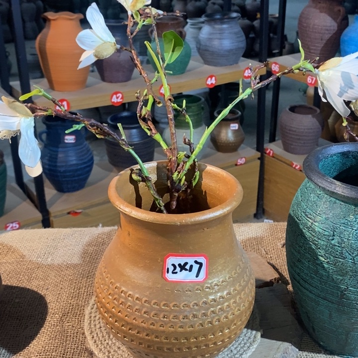 【闪购商品】正品现货