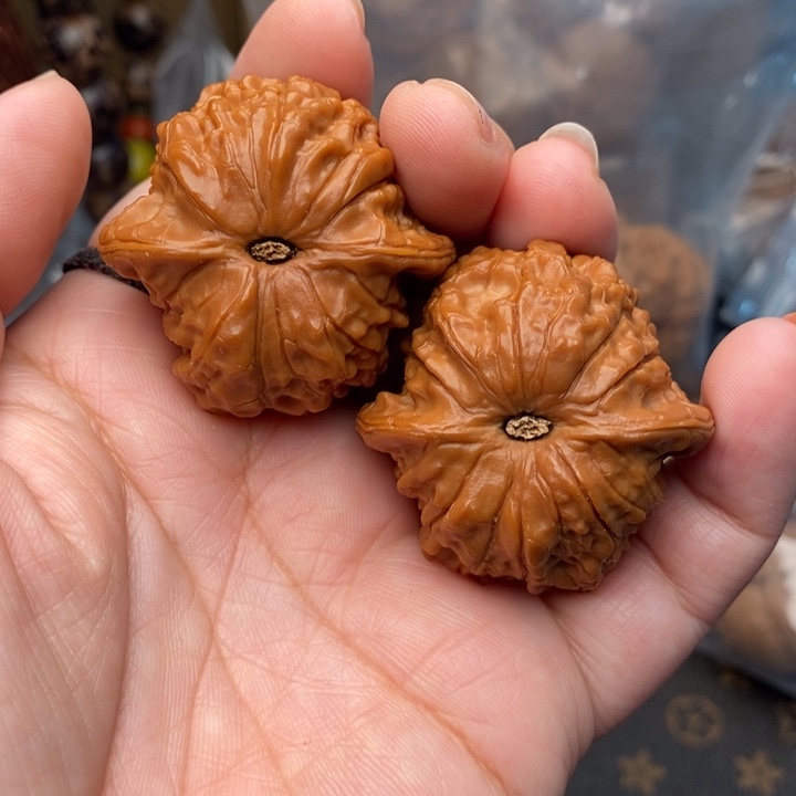 核桃血麒麟40尺核桃