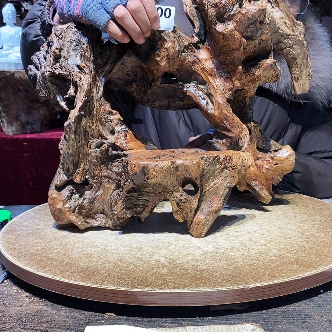 A***d900。株木随行根艺