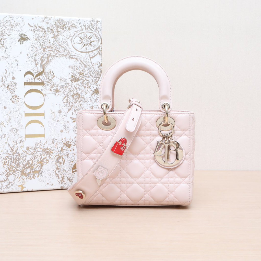 95新 DIOR/迪奥 小花佳珊P205336859 戴妃包 四格 2017 