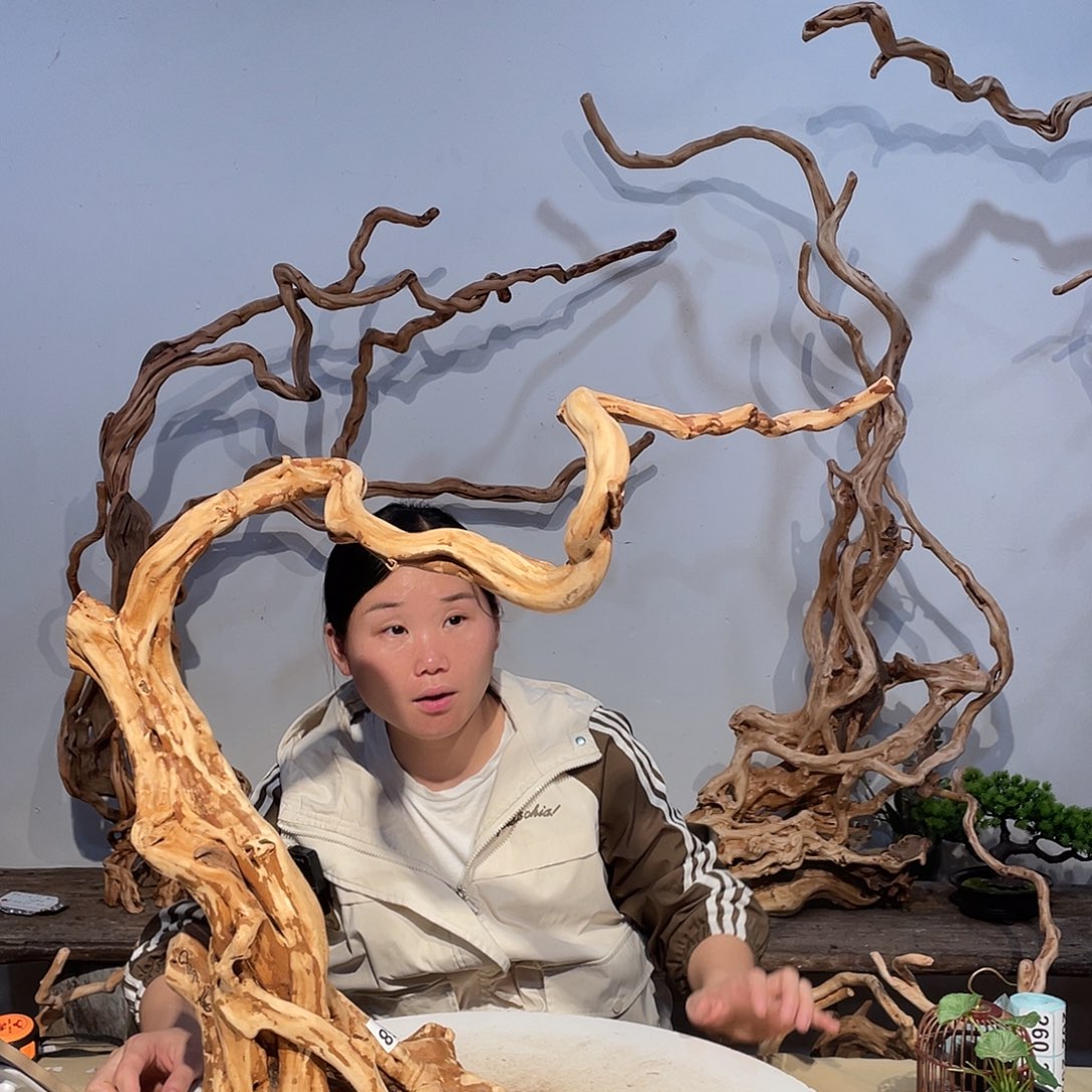 核桃木/黑胡桃（胡桃木）⑨