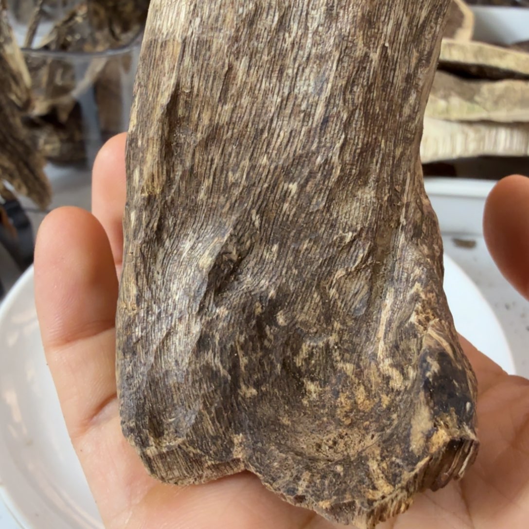 静***雨沉香碎屑沉香树丁40克