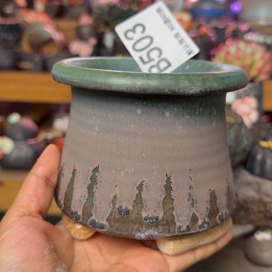 重庆小燕子欢迎大家503