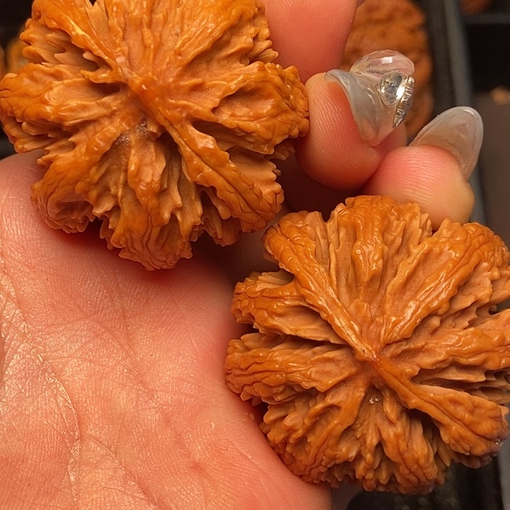 文玩核桃把件秦岭山脉核桃