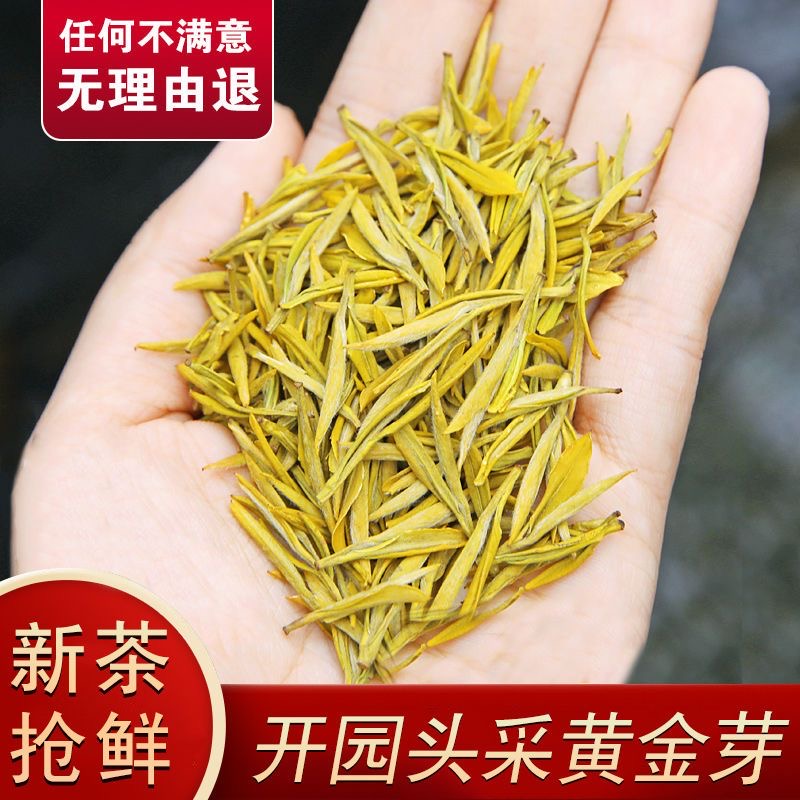2025年新茶[黄金芽]茶叶明前头采高档送礼高山绿茶精品嫩芽春茶