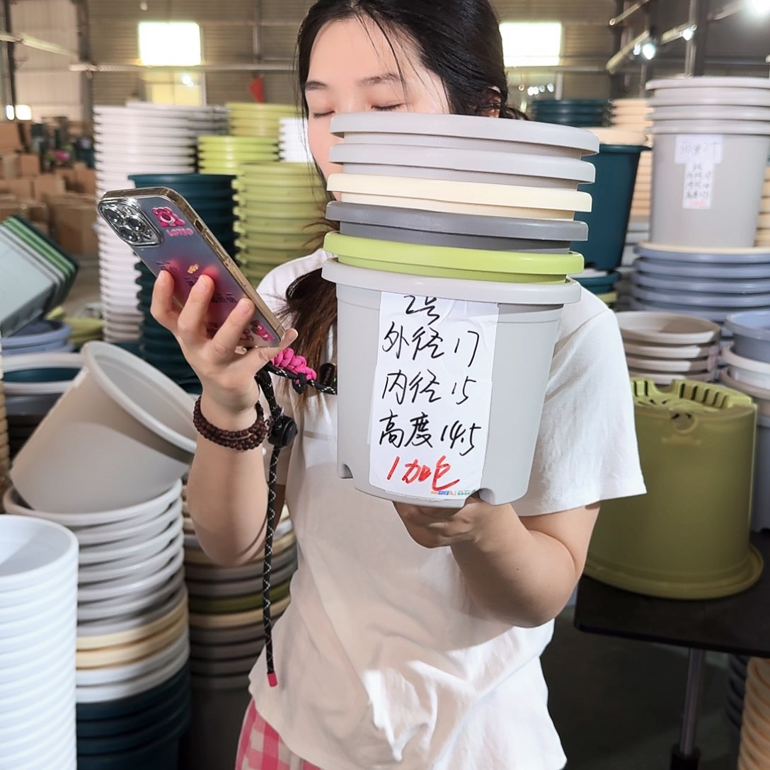 微瑕2#无拖灰白6个