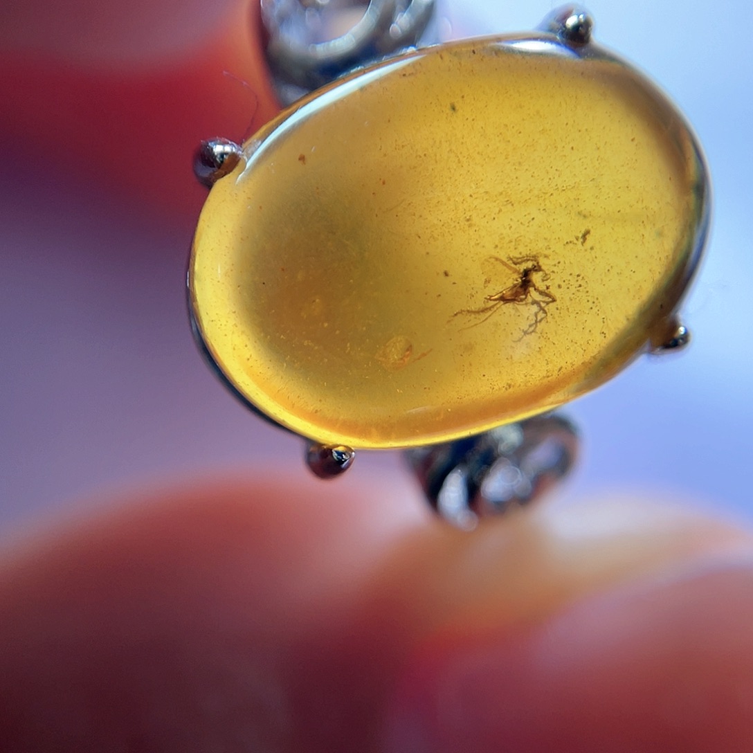 琥珀裸石未镶嵌？