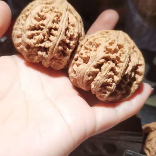 猴头核桃吊坠47粗筋