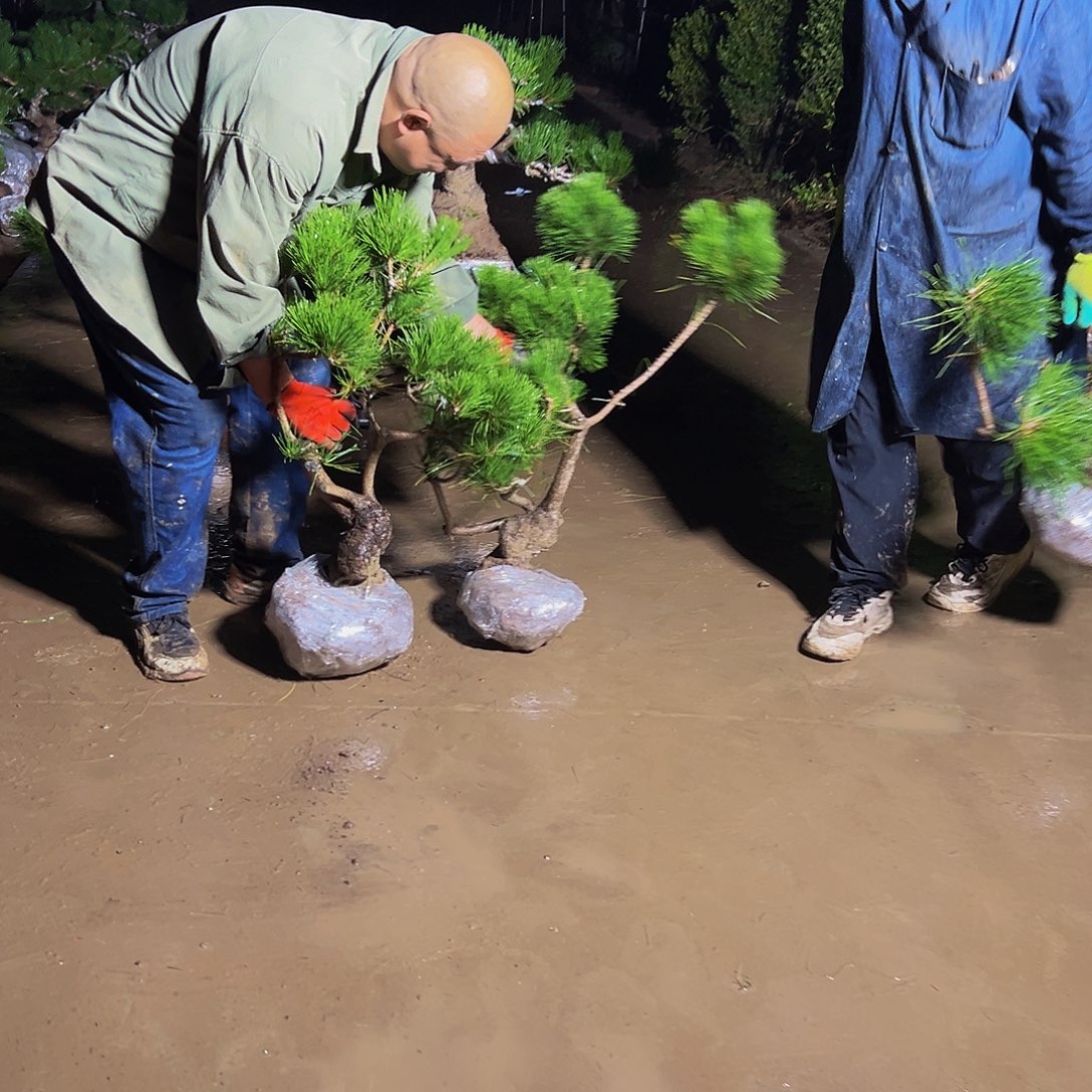 无花朵漫****】888898888888