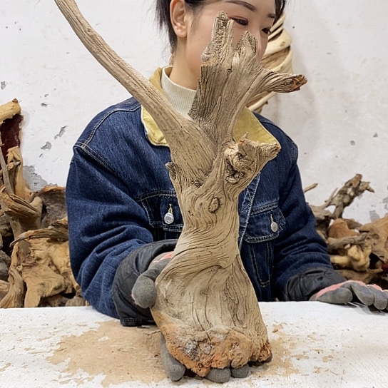 龍***轩柏木我们都是好孩子