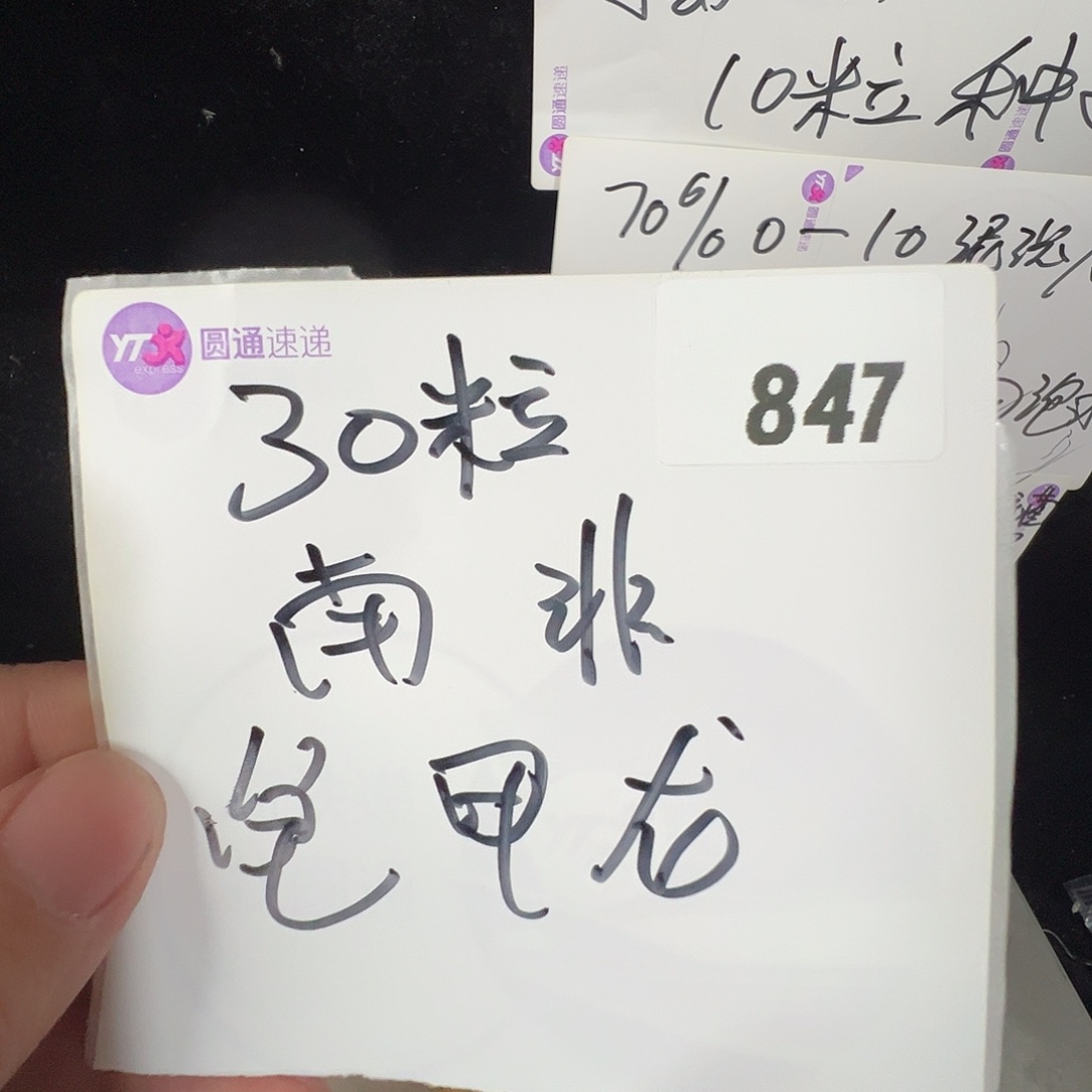 多肉植物专拍植物不退换 一物一拍 847