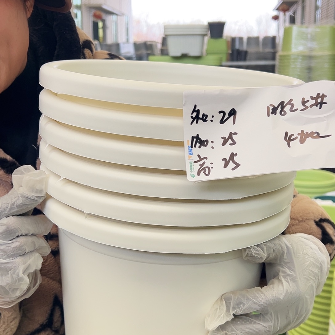 四季盆5#白色6个无托