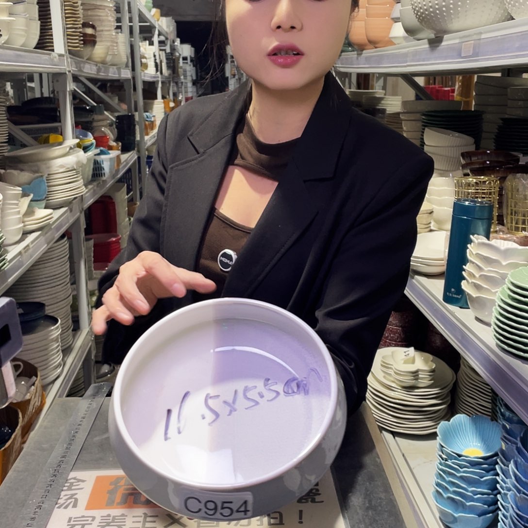 瓷片954                  2个