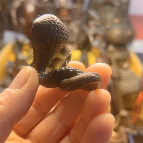 铜666666666666666666