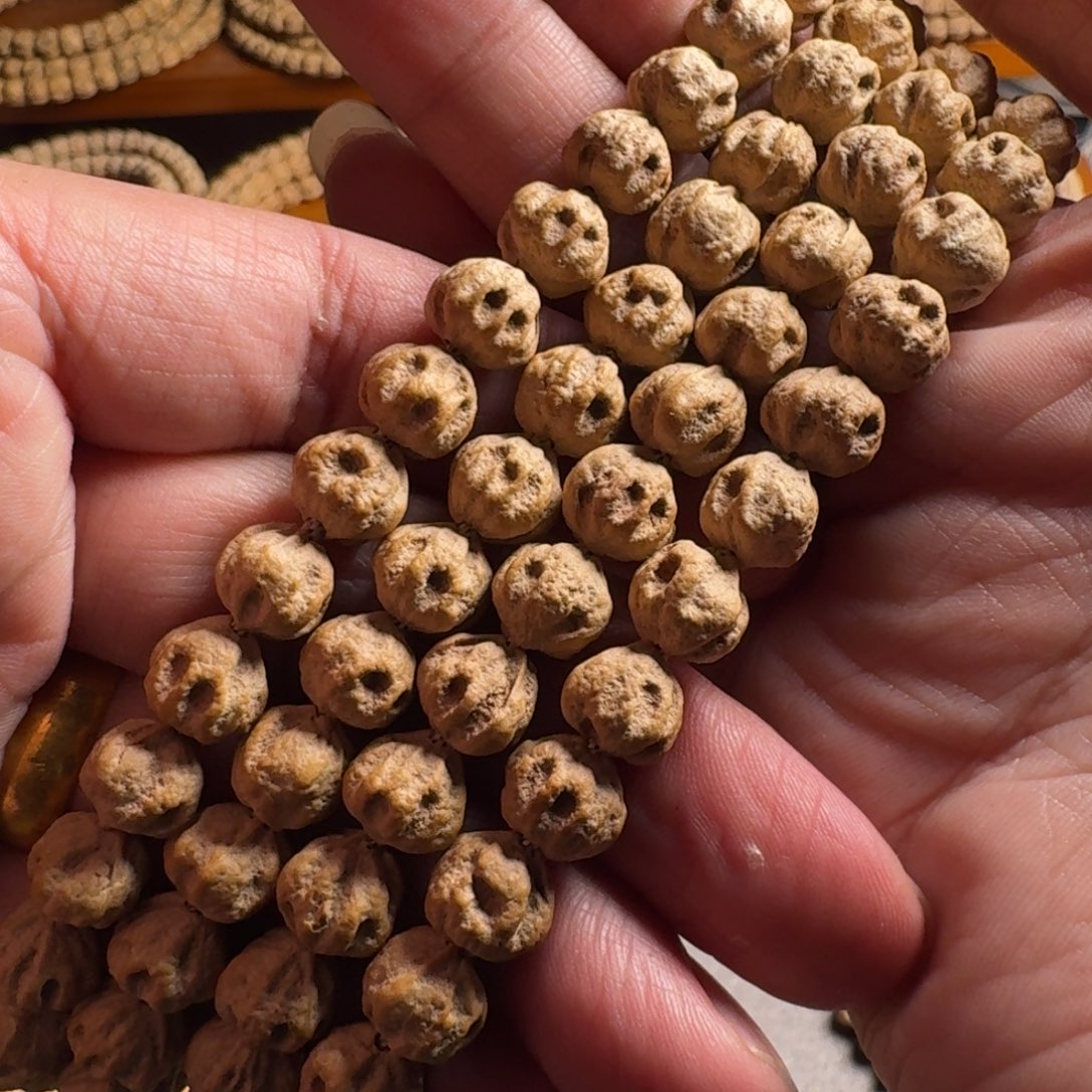 柏香籽/百香籽手串9毫米无修油皮满鬼尸陀林