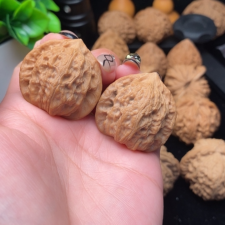 核桃京公子公子帽