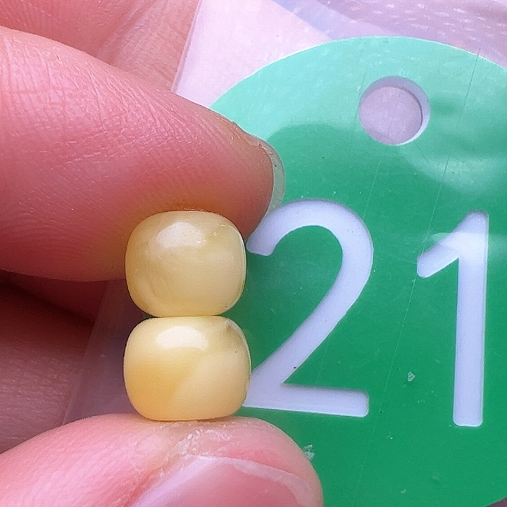 蜜蜡裸石未镶嵌7.3m m