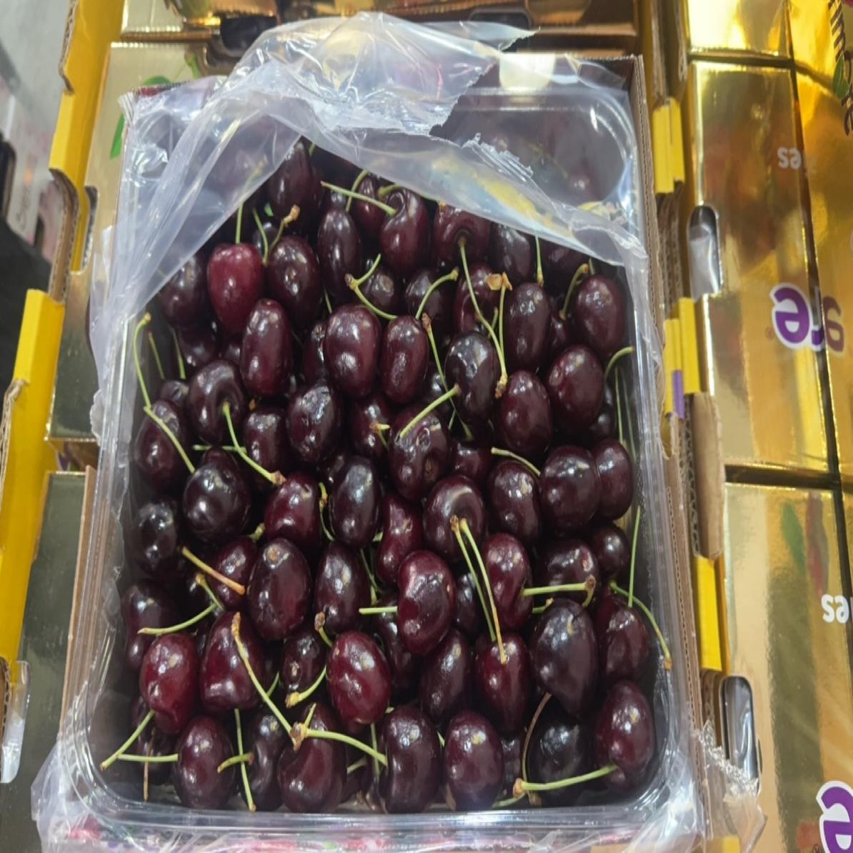 空运智利车厘子桑提娜4JD《2.5公斤》智利