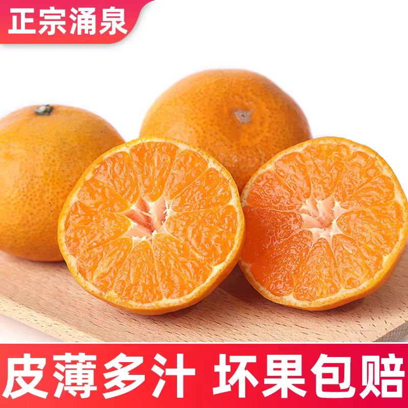 【今日福利】浙江临海涌泉特产宫川早熟蜜桔酸甜可口现摘现发浙江省