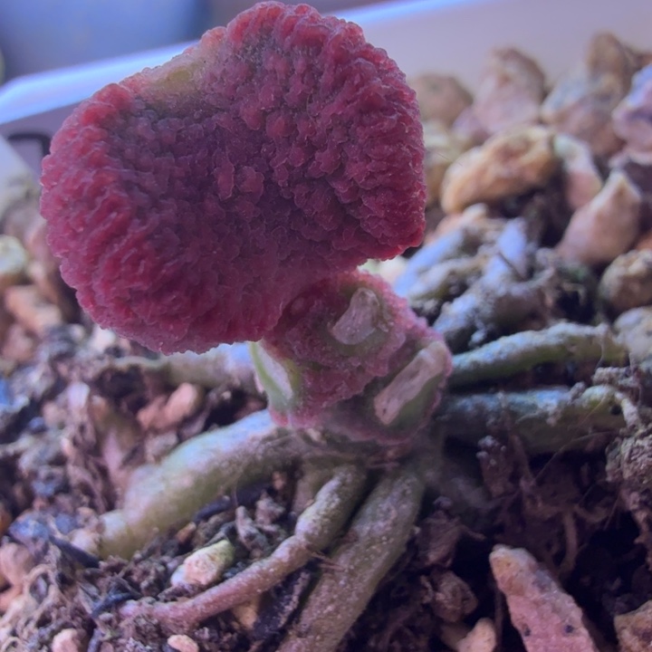 风****你也别说你在哪里啊