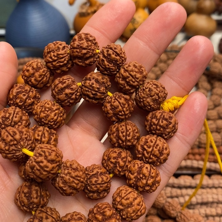 菩提刘*凹底梅花