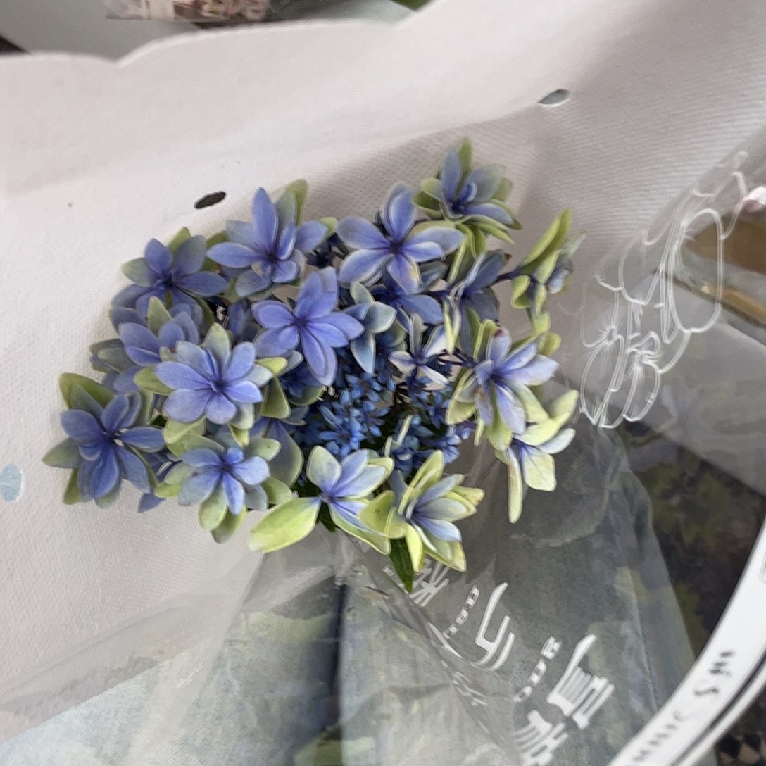 30号绣球1支三单包邮