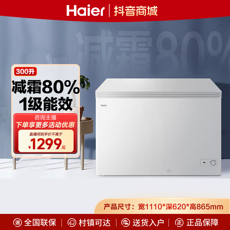 海尔300冷柜大容量商用两用冰柜BC/BD-300GHZ迷你小型速冻单温